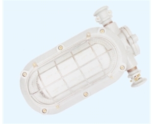 东营矿用隔爆型LED支架灯
